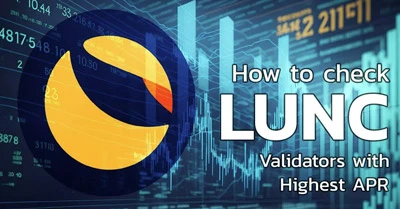 Article: LUNC Staking: Choosing Validators with Highest APR